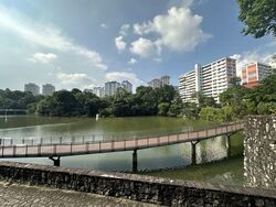 Blk 403 Fajar Road (Bukit Panjang), HDB 4 Rooms #589261851